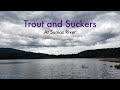 Video Thumbnail for Trout and Suckers at Sumas River