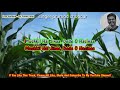 Kanchi Re Kanchi Re Karaoke For Female Singer S With Male Voice
