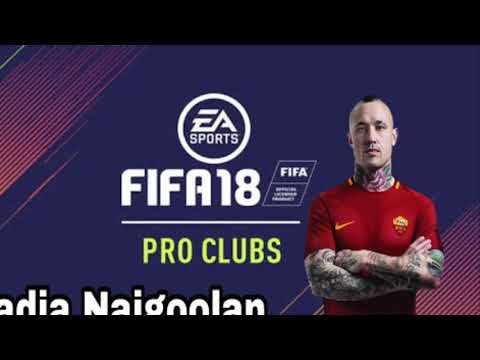 Face Radja naigoolan