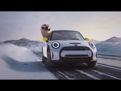 Case | MINI | Nanuq Polar Bear