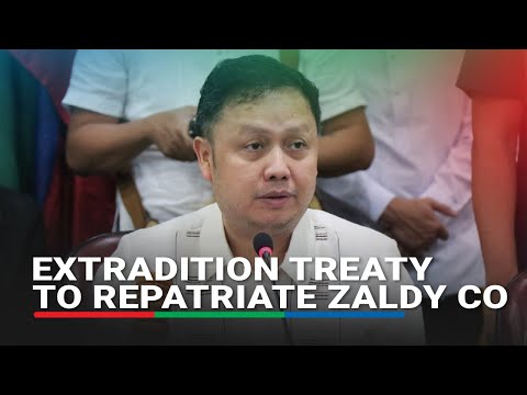 Philippines seeks Interpol aid to repatriate Zaldy Co from Portugal | ABS-CBN News