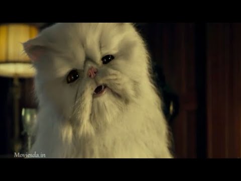 Cat and dog movie scene download link description box#you Tube