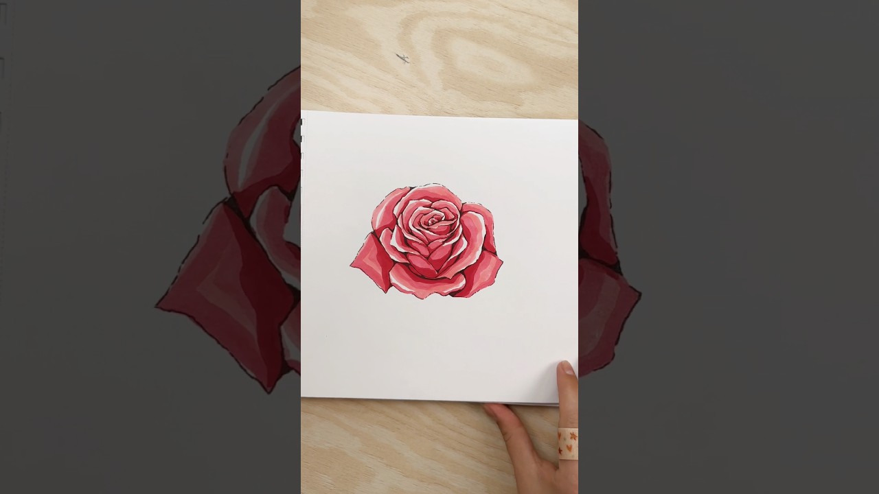 Rose Flower Drawing Tutorial by fadil - video 3