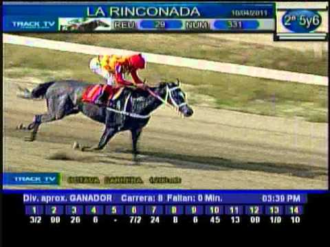 Resumen Domingo, 10 de Abril de 2011- La Rinconada