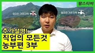 직업의 모든것