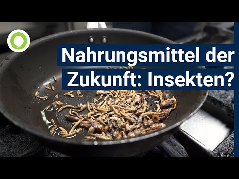 Heuschrecken, Würmer, Grillen: Sind Insekten das Nahrungsmittel der Zukunft?