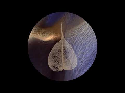 190621 Friends with the Breath \ \ Thanissaro Bhikkhu \ \ Short Dhamma Talk