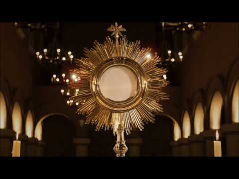 Uwielbiamy Cię, Jezu...