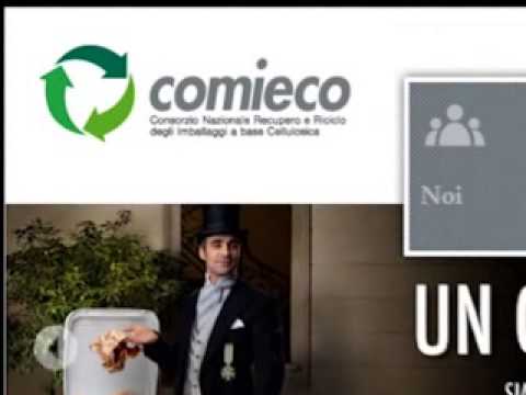 ONDA TG 29.05.2013 - CARTONIADI 2013