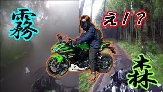 【Ninja250】方向音痴が地図を見ないとこうなります【250DUKE】