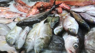 Making It Grow - Harrelson's Seafood Market
