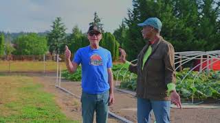 Giant Pumpkins I Holland I Sumner, WA I Washington Grown