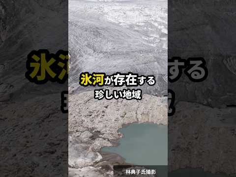 植物が氷河地帯を埋め立てている