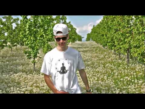 Empatik - Venované hudbe (OFFICIAL VIDEO)