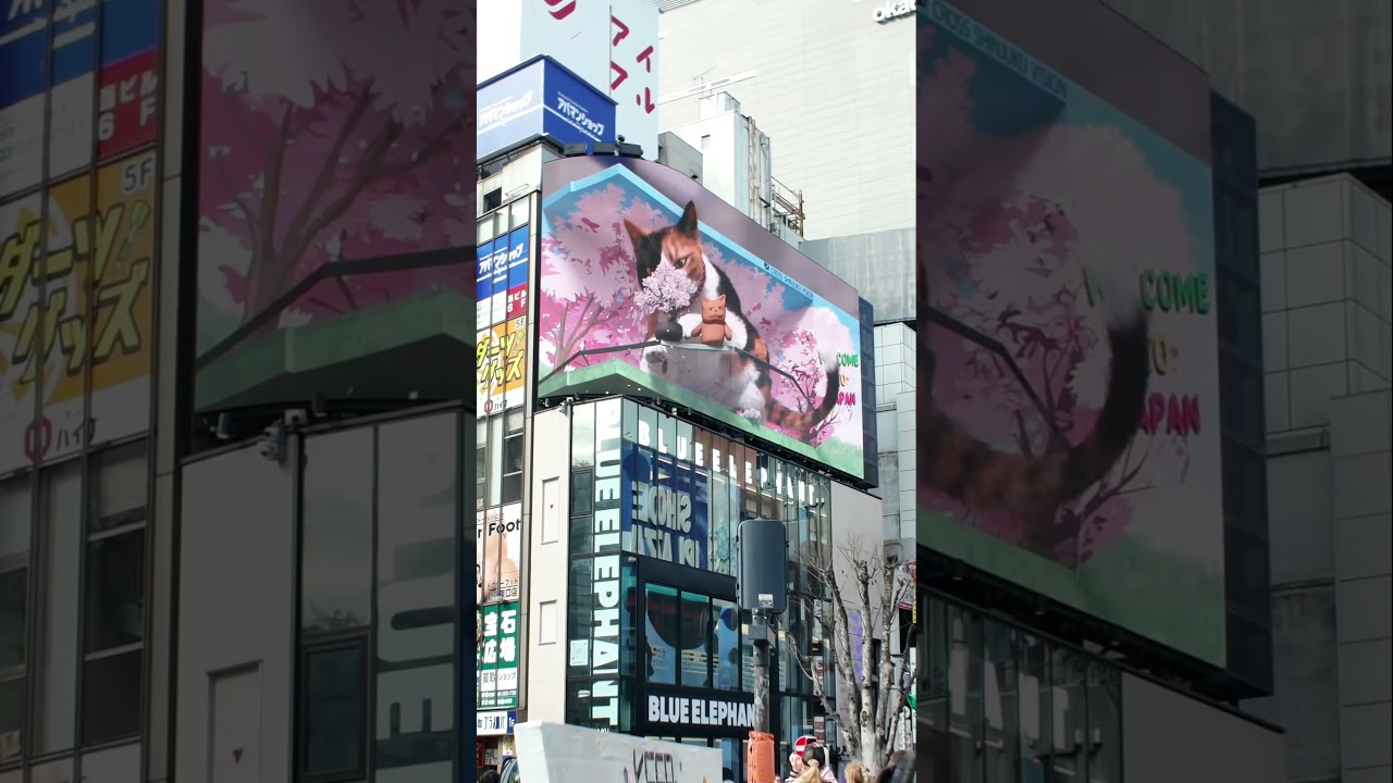 新宿東口も桜満開です。猫カワイイ
