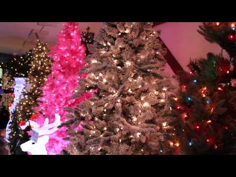 Kraynaks Christmas Lane 2022 Kraynaks Christmas Trees On Sale - 02/2022