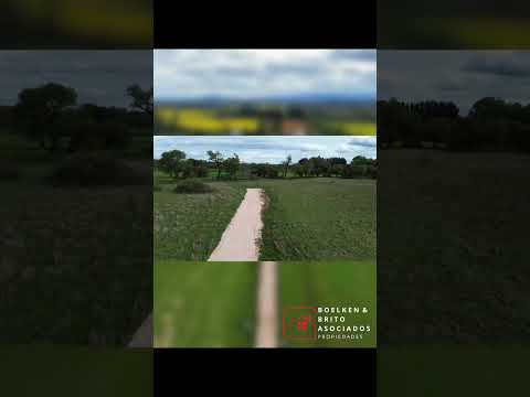 PARCELAS EN VENTA 5.000 m2 C/u VICTORIA, REGIÓN DE LA ARAUCANÍA