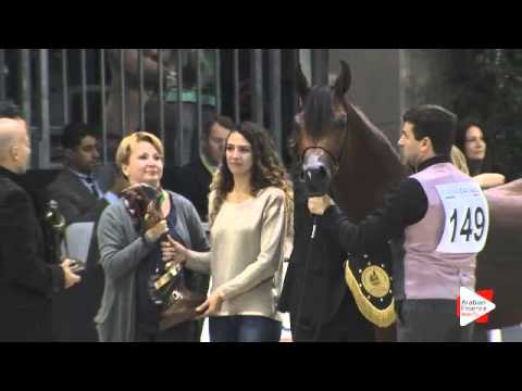 1st-N.149 GALLARDO J - Verona 2015 - Junior Males Championship (Class 16)