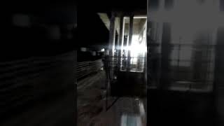 Download lagu Ibu kucing nyari kedua anaknya...Dan ternyata....!!! mp3