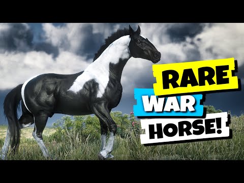 Steal This RARE War Horse from Blackwater! (Piebald Tobiano)