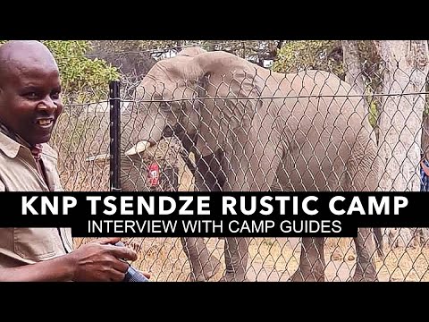 Kruger National Park: Interview with the Tsendze Rustic Camp Guides, Rodger and Elina