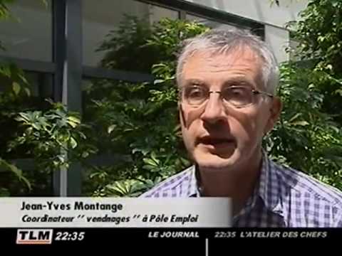 comment participer aux vendanges