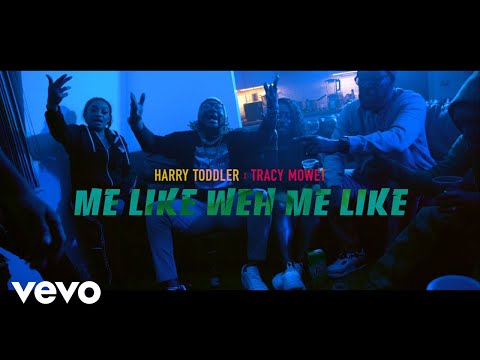 HARRY TODDLER - LIKE WEH ME LIKE (Official Music Video) ft. Tracy Mowet