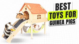 3 BEST Toys for Guinea Pigs