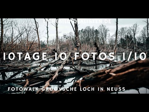 10 Tage 10 Fotos - Tag 1/10 - Groov´sches Loch Neuss Fotowalk + Wildlife