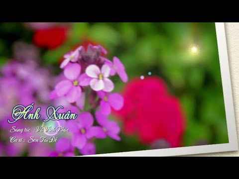 Thể hiện bởi Sơn Túi Đỏ
