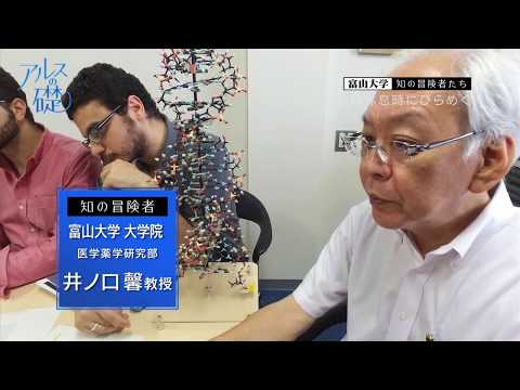アルスの礎　～富山大学　知の冒険者たち～　#10 脳は休息時にひらめく　2019年8月8日放送分
