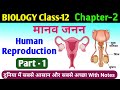 biology class 12 chapter 2 | human reproduction class 12 | manav janan class 12th biology in hindi