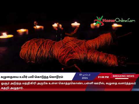 கழுதையை உயிர் பலி கொடுத்த கொடூரம், ஓசூர் அடுத்த மத்திகிரி அருகே