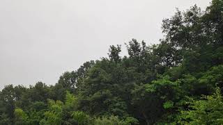 空から雨が降っているという事実が目の前にあるのよ