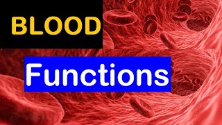 6 Functions of blood || Explained in 1 min