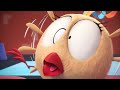 Where S Chicky Funny Chicky 2023 BEKKY MUSICIAN Cartoon In English For Kids New Episodes