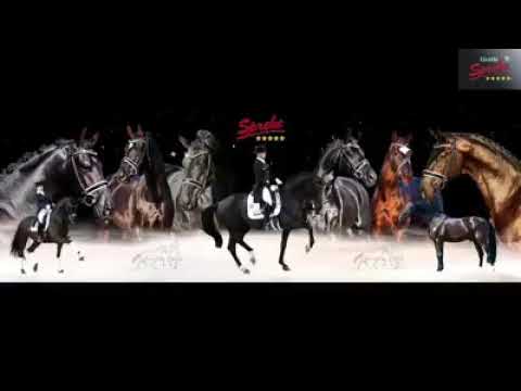 Marc Cain (Training April 2020)