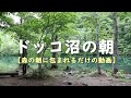 channel