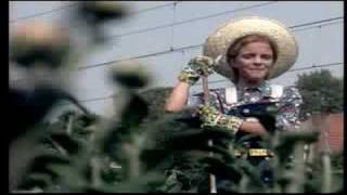 Kinderen voor Kinderen 11 - De achtertuin (Officiële videoclip)