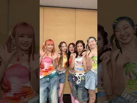 Sugar ‘N Spice Shortcake🍓🍋🍊🫐🍍#SugarNSpice #SNS