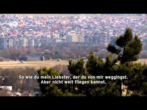 Die Krim wird russisch | Journal Reporter