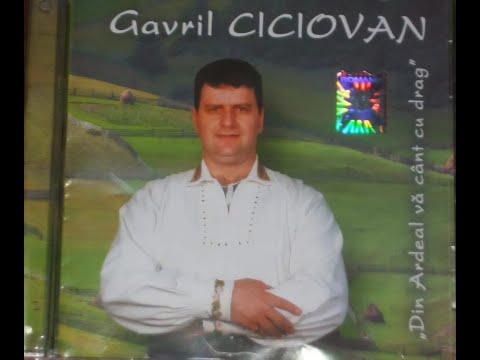 Gavril Ciciovan - Am mandruța din alt sat (Official Audio)