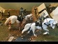 Civil War Tails - Cats Fighting the Civil War