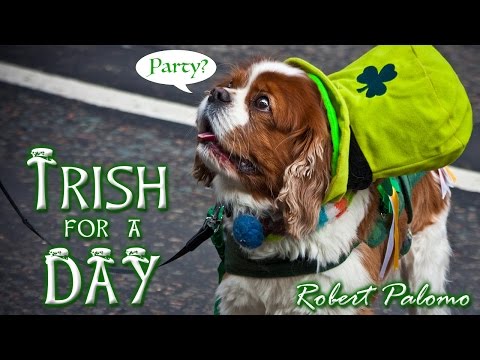 Irish For a Day - the most FUN St. Patrick's Day song EVER!