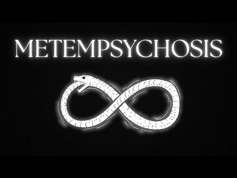 Why You’ve Lived Before (And Might Again)