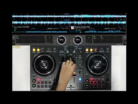 Lions in the Wild vs Payback (Zave Mashup)