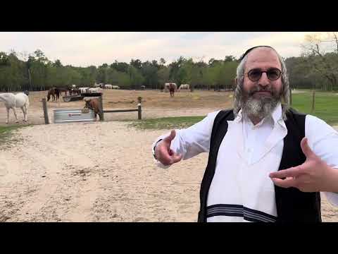 Rav Mota Frank after Horseback Riding in Humble, Texas