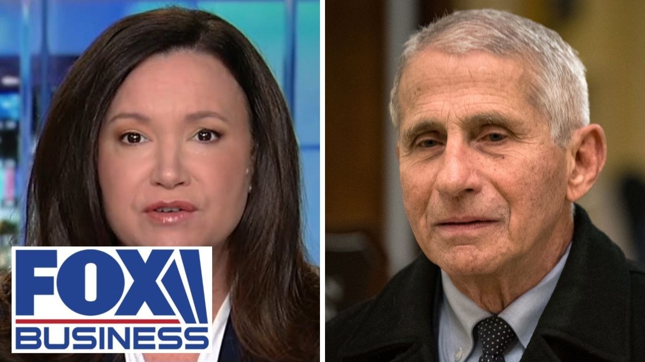 GOP Senator demands accountability from Fauci: He 'has a lot to answer for'