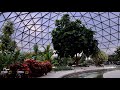 EPCOT Living with the Land 2023 Ride POV in 8K | Walt Disney World Orlando Florida February 2023
