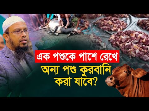 এক পশুকে পাশে রেখে অন্য পশু কুরবানি কতটা ভয়াবহ জানুন
